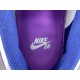 GOD BATCH Nike SB Dunk Low "Rayssa Leal" FZ5251-001