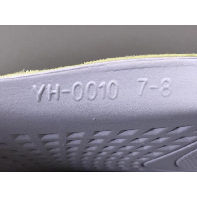 X Batch Unisex Adidas Yeezy Boost 350 V2 "ANTLIA" FV3250
